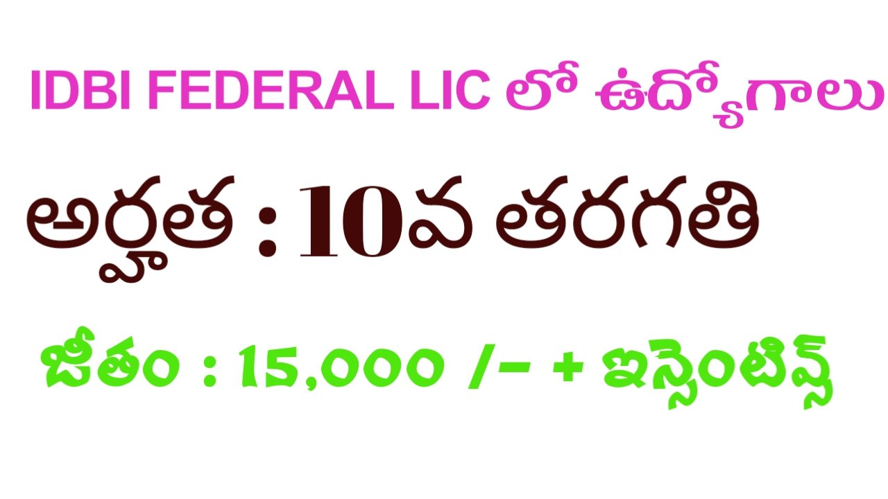 Jobs in IDBI FEDERAL LIC