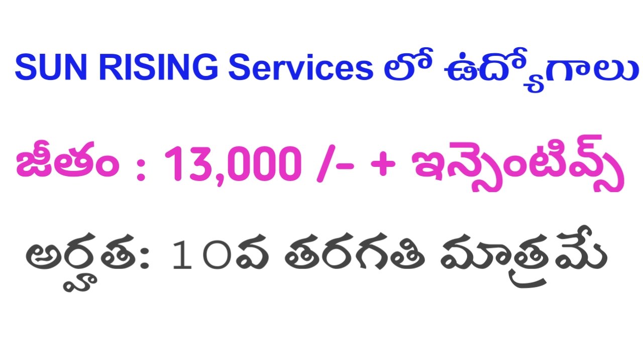Jobs in SUN RISING Service