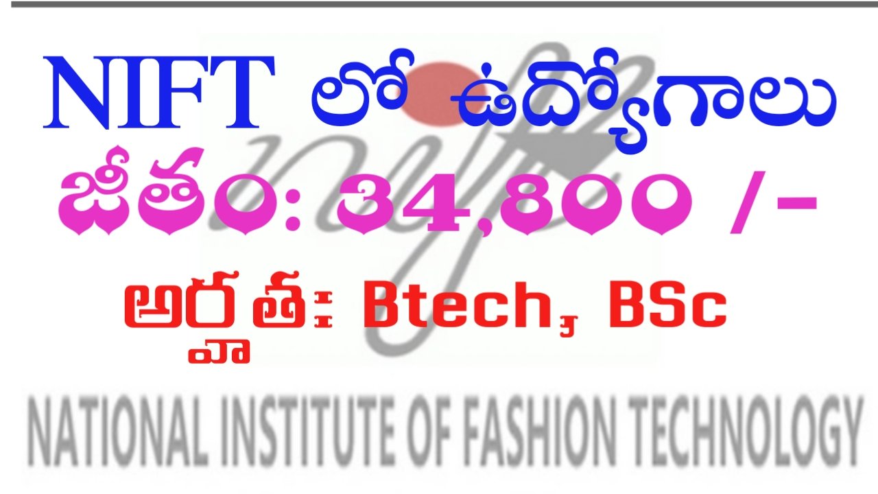 Jobs in National Institute of Fashion Technology
