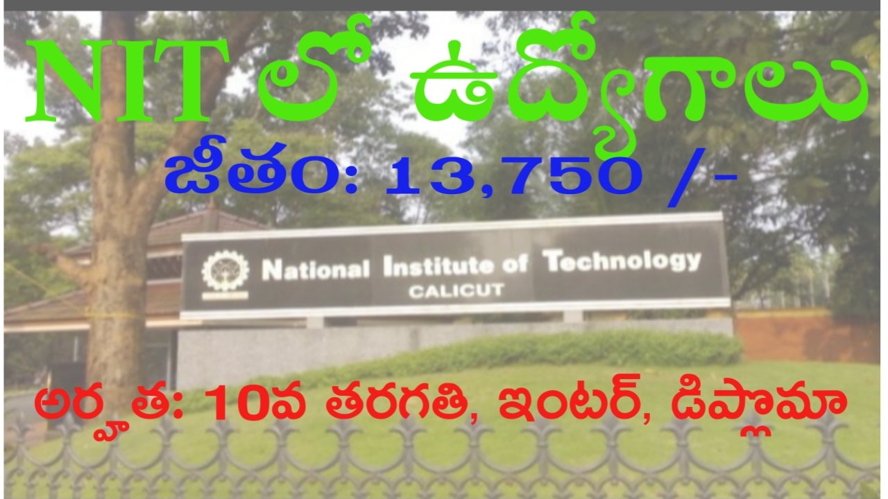 Jobs in NIT