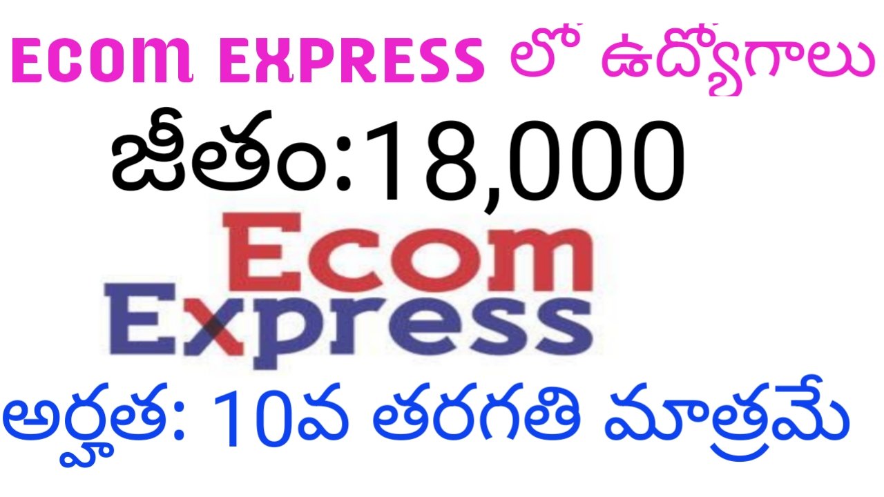 Jobs in ECom Express