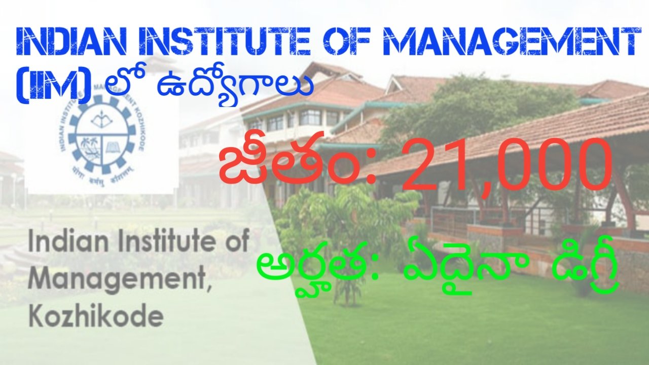 Jobs in Indian I institute of Management