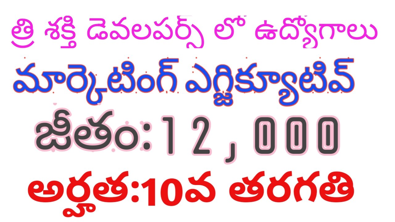 Jobs in Tri Sakthi Developers