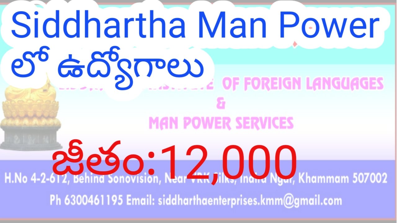 Jobs in Siddhartha Man power