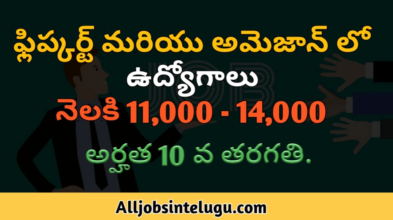 Jobs in flipkart and amazon.