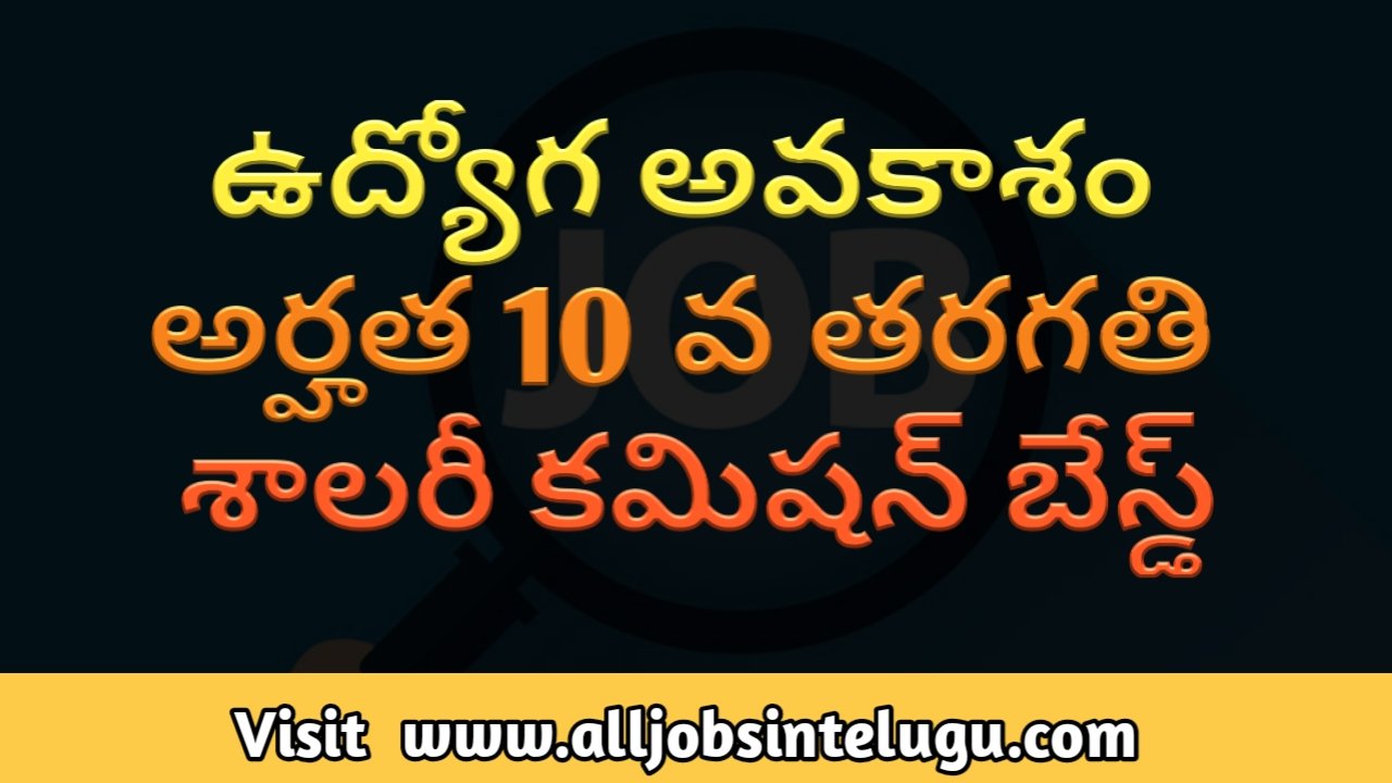 Jobs in Star health insurance.