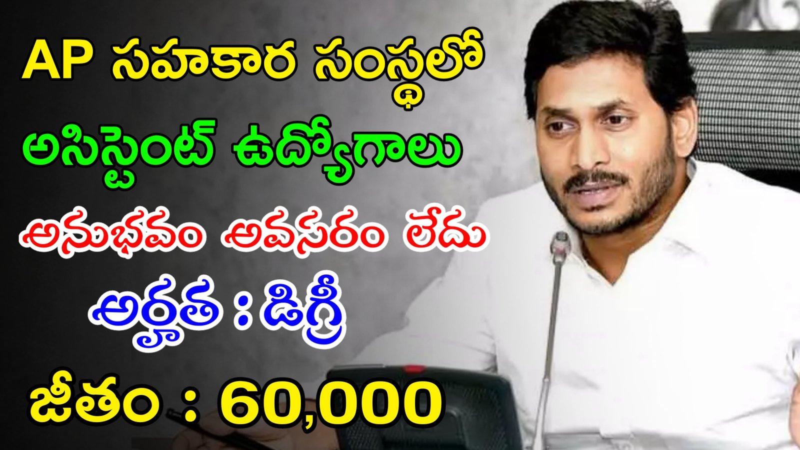 AP State Financial Corporation Recruitment 2023 | AP సహకార సంస్థలో అసిస్టెంట్ ఉద్యోగాలు | Latest AP Govt Jobs