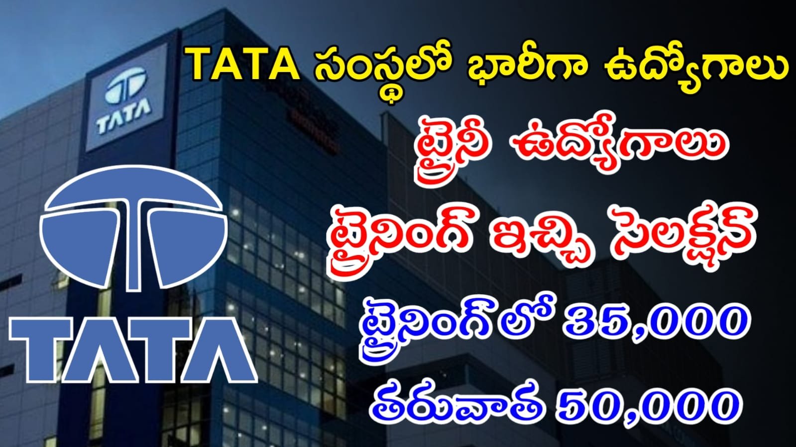 TATA Jobs : టాటా సంస్థలో భారీగా ఉద్యోగాలు | Work From Home Jobs