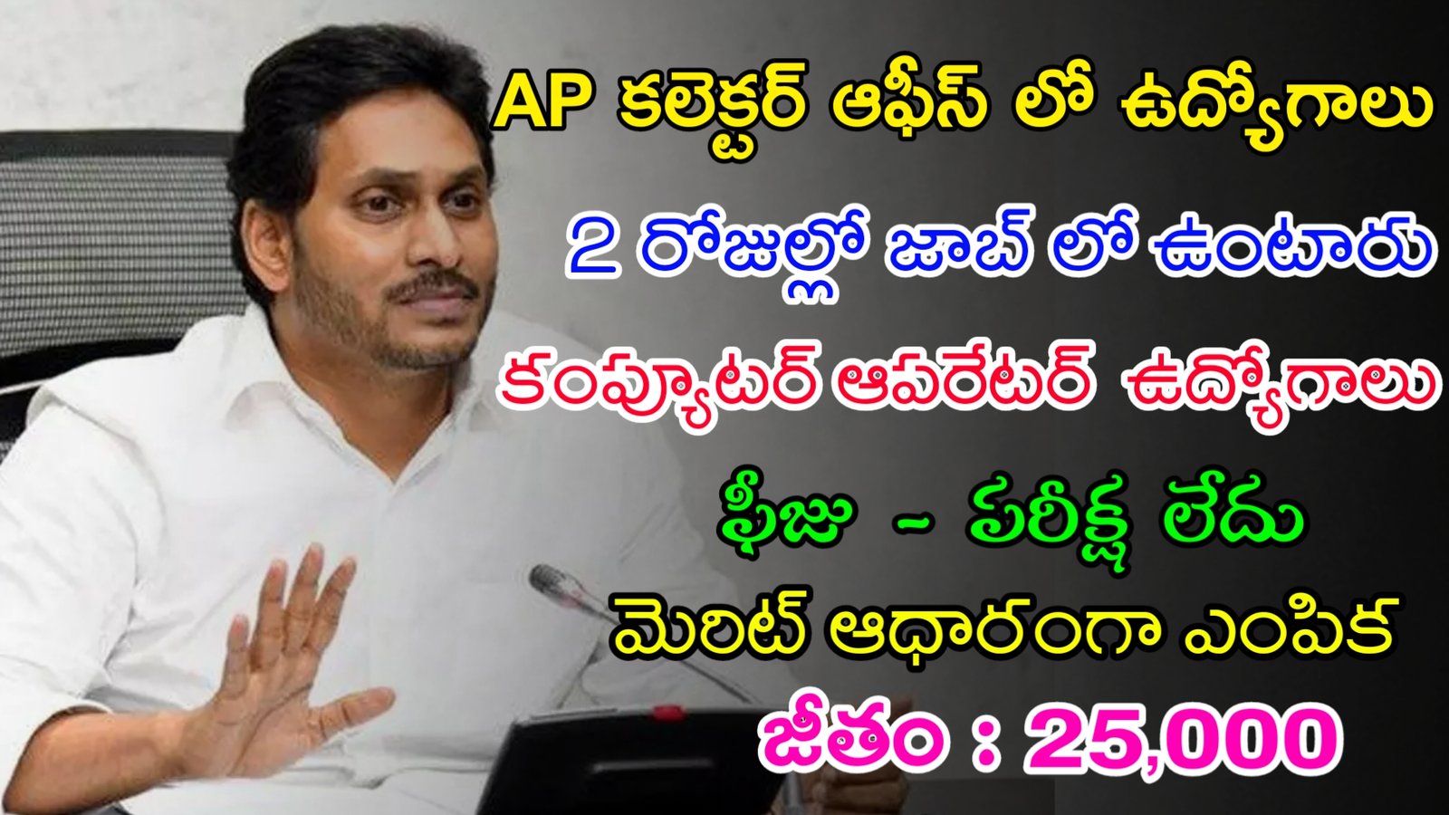 AP కలెక్టర్ ఆఫీస్ లో ఫీజు పరీక్ష లేకుండా ఉద్యోగాలు | Latest AP Collector Office Notification 2024 | AP Govt Jobs In Telugu