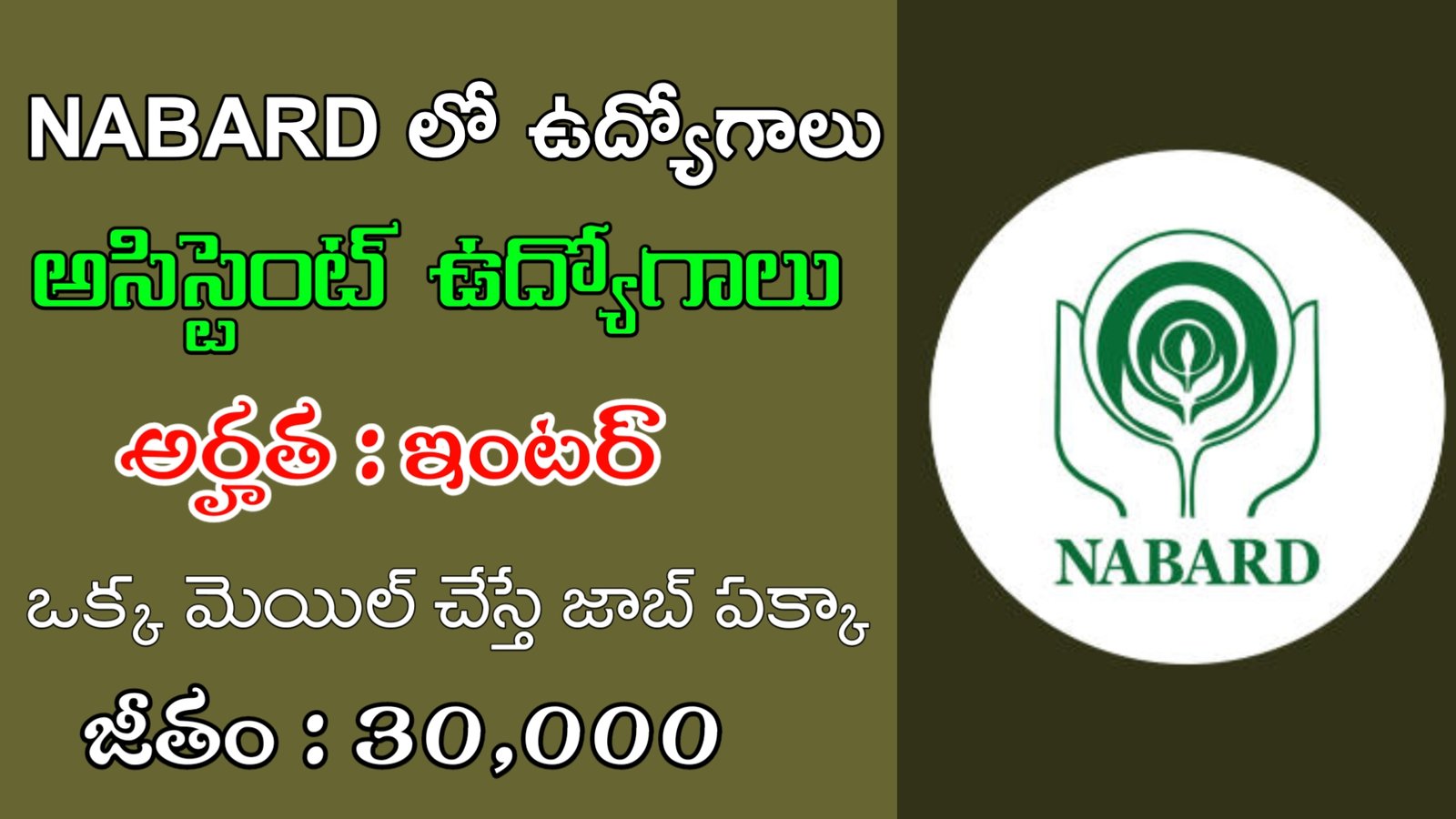 ఇంటర్ తో నాబార్డ్ లో ఫీజు పరీక్ష లేకుండా ఉద్యోగాలు | Latest NABARD Notification 2024 | Govt Jobs In Telugu