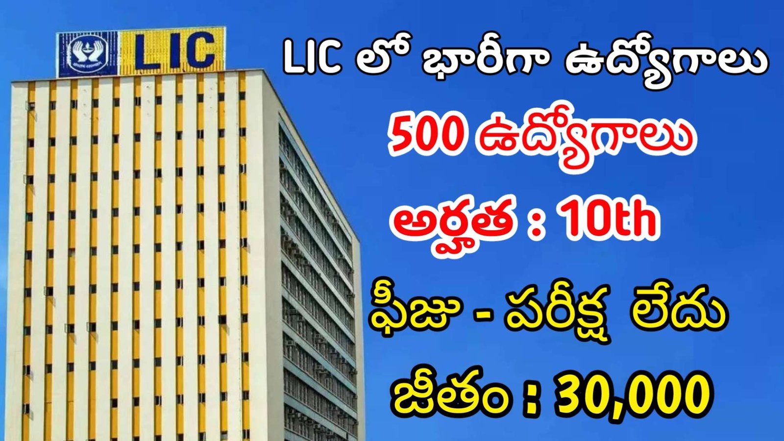 10th తో LIC లో ఫీజు పరీక్ష లేకుండా 500 ఉద్యోగాలు | Latest LIC Notification 2024 | Latest Jobs In Telugu