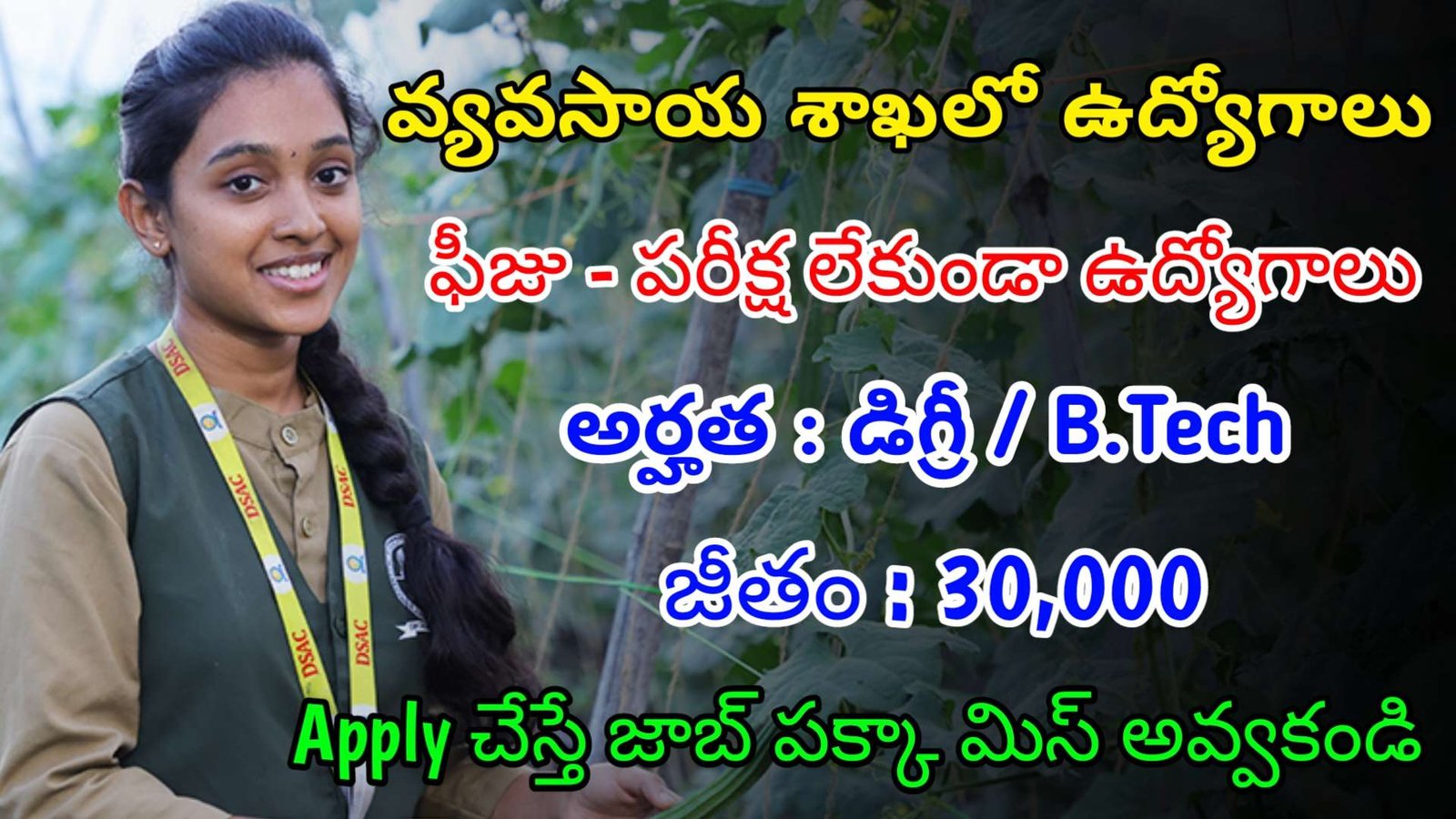 వ్యవసాయ శాఖలో ఫీజు పరీక్ష లేకుండా ఉద్యోగాలు | Latest Agriculture Department Notification 2024 | Latest Govt Jobs