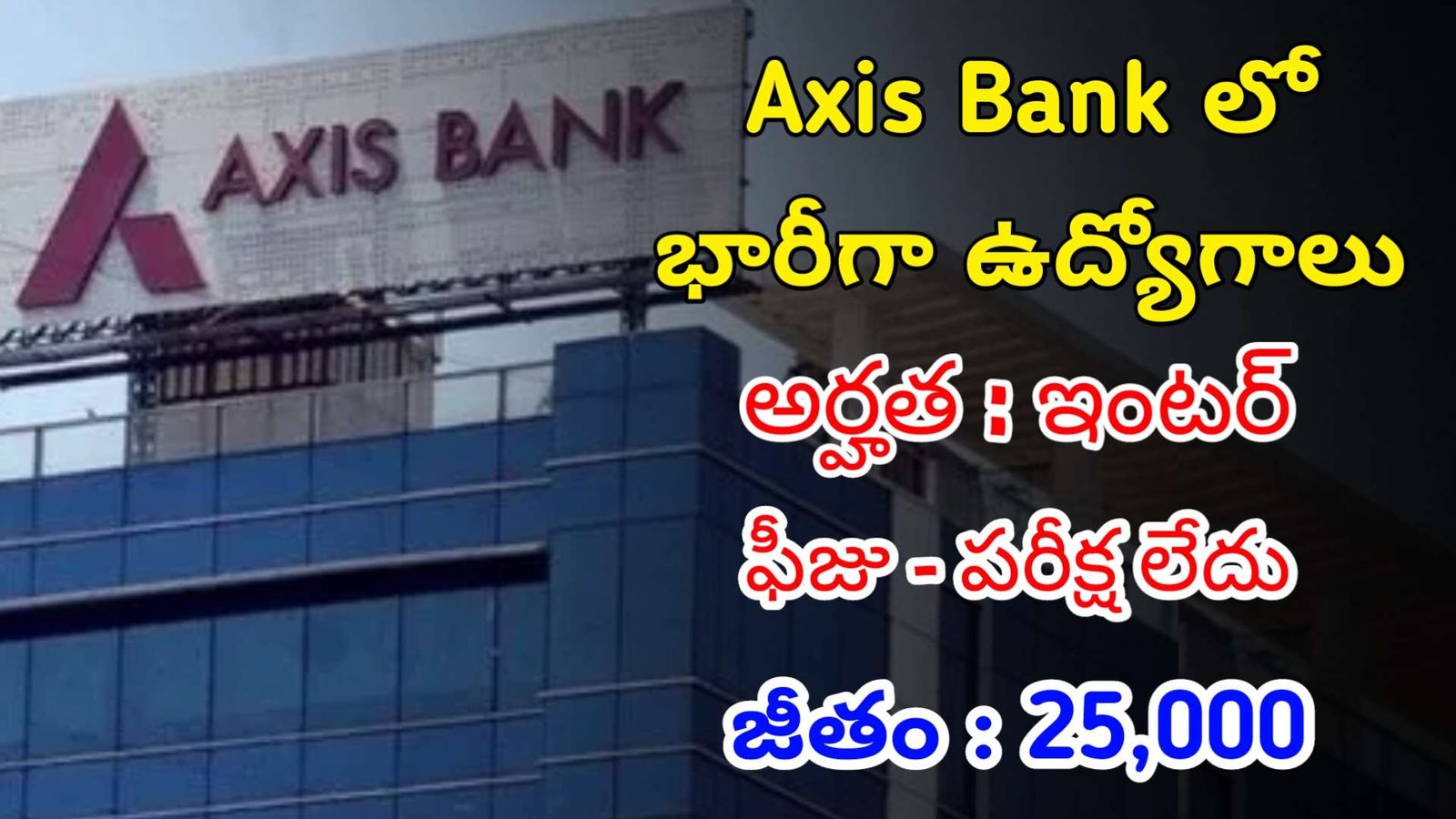 ఇంటర్ తో Axis బ్యాంక్ లో భారీగా ఉద్యోగాలు | Latest Axis Bank Notification 2024 | Axis Bank Jobs In Telugu
