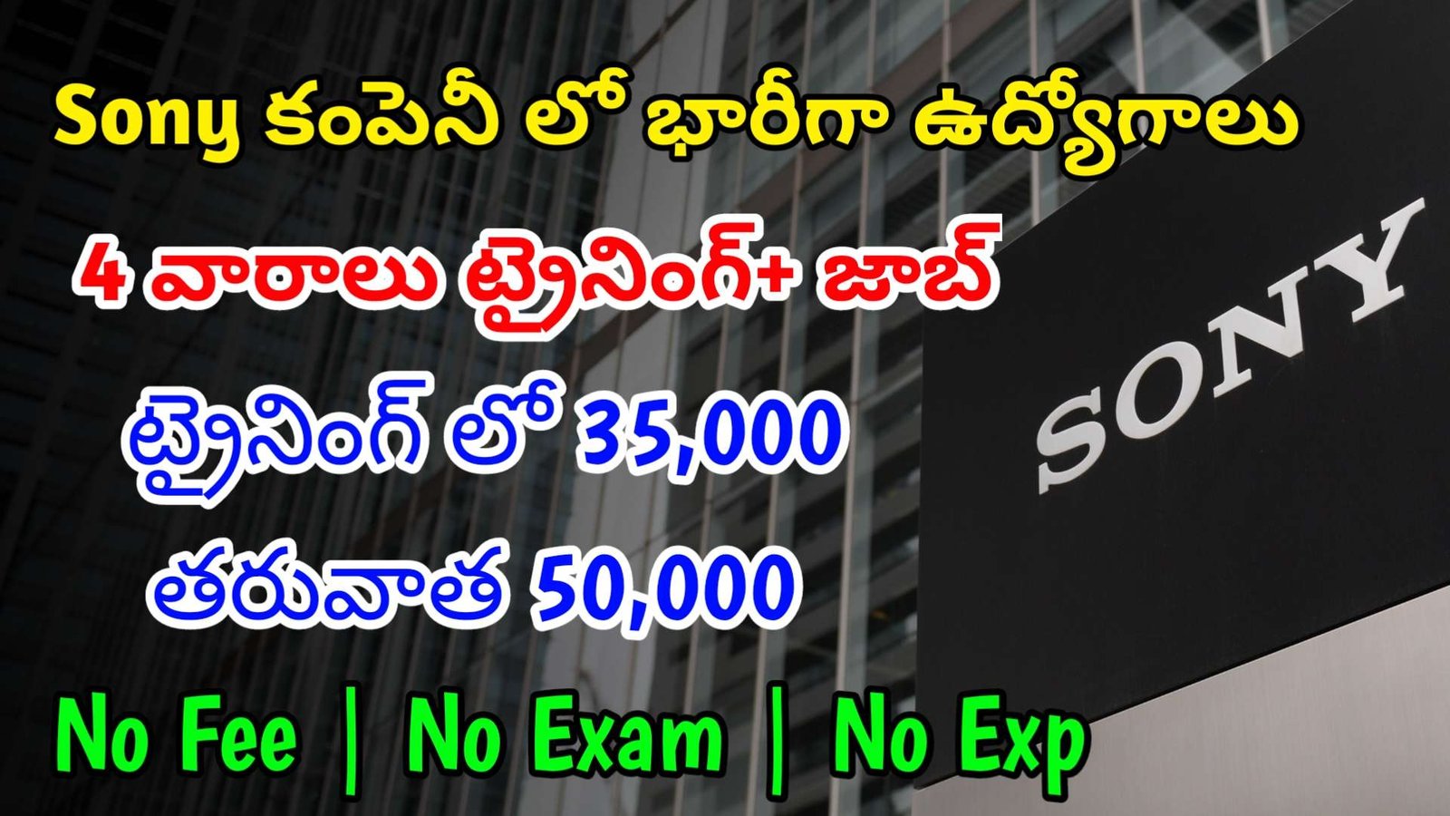 4 వారాలు ట్రైనింగ్ ఇచ్చి జాబ్ ఇస్తున్నారు | Latest Sony Recruitment 2024 | Latest Jobs In Telugu