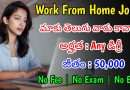 మాకు వెంటనే తెలుగు మాట్లాడే వారు కావాలి | Latest Nxtwave Recruitment 2024 | Work From Home Jobs
