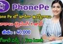 తెలుగు వారికి ఫోన్ పే లో భారీగా ఉద్యోగాలు | Latest Phone Pe Recruitment 2024 | Phone Pe Jobs In Telugu