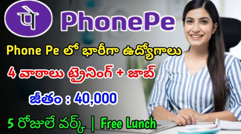 తెలుగు వారికి ఫోన్ పే లో భారీగా ఉద్యోగాలు | Latest Phone Pe Recruitment 2024 | Phone Pe Jobs In Telugu