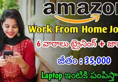 అమెజాన్ లో భారీగా Work From Home Jobs | Latest Amazon Recruitment 2024 | Amazon Jobs In Telugu