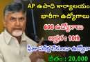 AP ఉపాధి కార్యాలయం లో ఫీజు పరీక్ష లేకుండా ఉద్యోగాలు | Latest AP Govt Jobs 2024 | Govt Jobs In Telugu