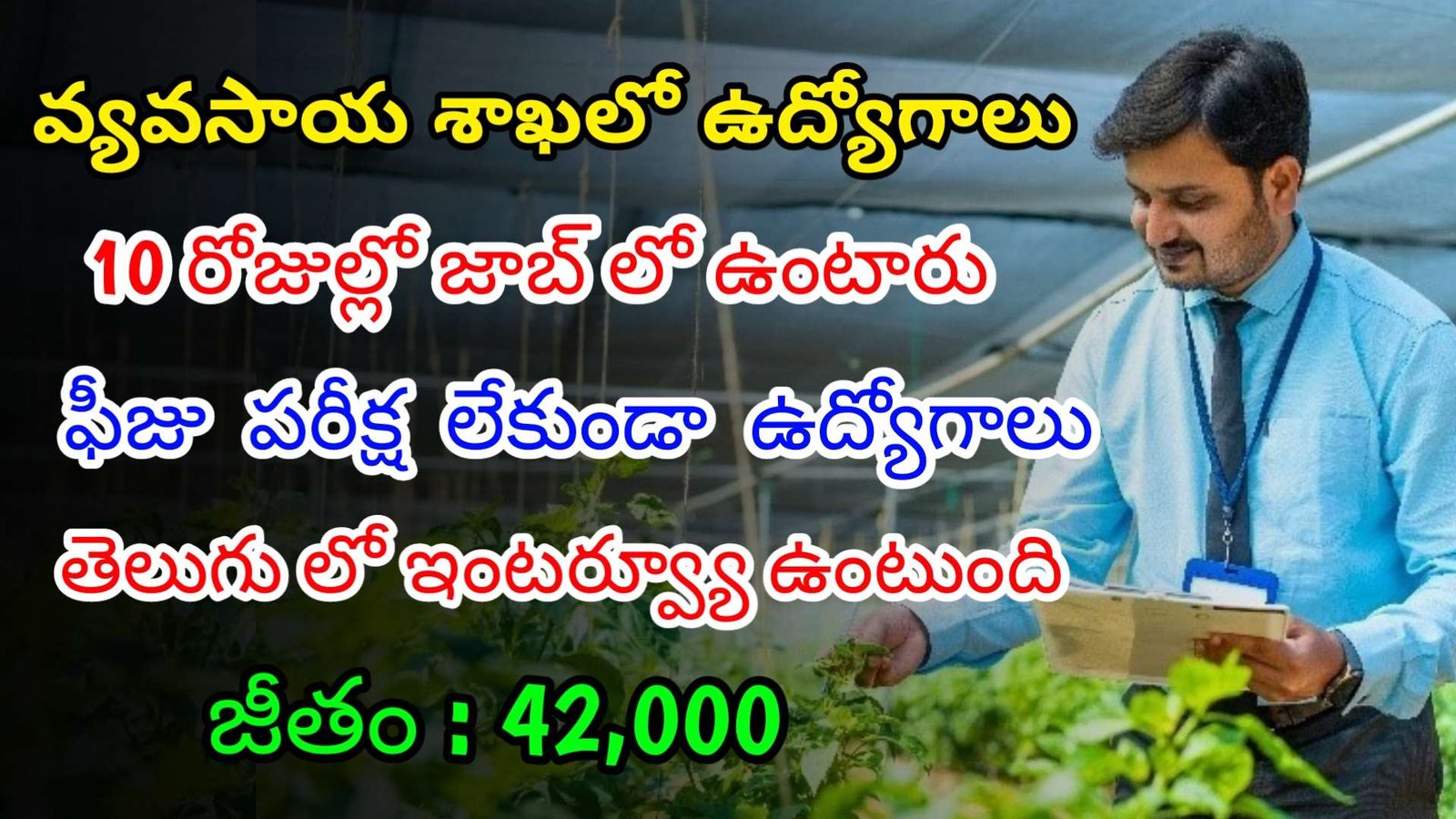 వ్యవసాయ శాఖలో ఫీజు పరీక్ష లేకుండా ఉద్యోగాలు | Latest ICAR – NMRI Notification 2024 | Latest Jobs In Telugu
