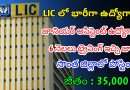 LIC లో భారీగా జూనియర్ అసిస్టెంట్ ఉద్యోగాలు | Latest LIC Notification 2024 | Latest Jobs In Telugu