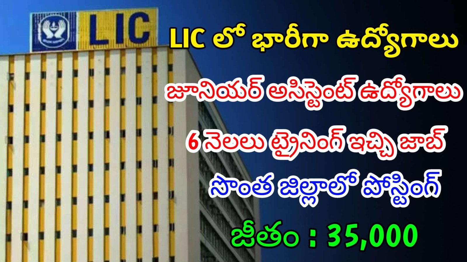 LIC లో భారీగా జూనియర్ అసిస్టెంట్ ఉద్యోగాలు | Latest LIC Notification 2024 | Latest Jobs In Telugu