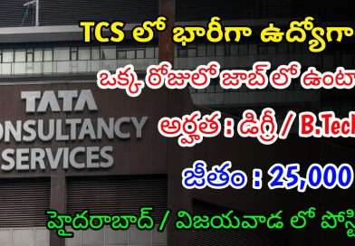 TCS లో భారీగా ఉద్యోగాలు | Latest TCS Recruitment 2024 | Latest Jobs In Telugu