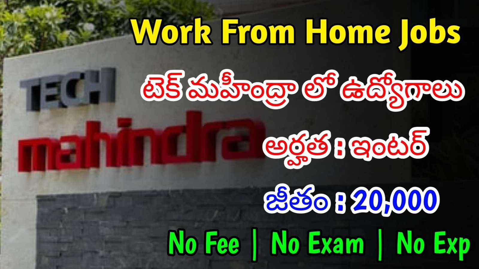 ఇంటర్ తో భారీగా Work From Home Jobs | Latest Tech Mahindra Recruitment 2024 | Tech Mahindra Jobs