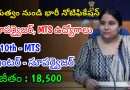 10th తో ప్రభుత్వ ఆఫీస్ లో సూపర్వైజర్, MTS ఉద్యోగాలు | Latest BECIL Notification 2024 | Latest Govt Jobs