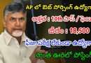 AP లో ఫీజు పరీక్ష లేకుండా ఔట్ సోర్సింగ్ ఉద్యోగాలు | Latest AP District Legal Service Authority Notification 2024 | Govt Jobs