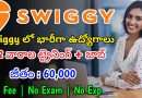 స్విగీ లో భారీగా ఉద్యోగాలు | Latest Swiggy Recruitment 2024