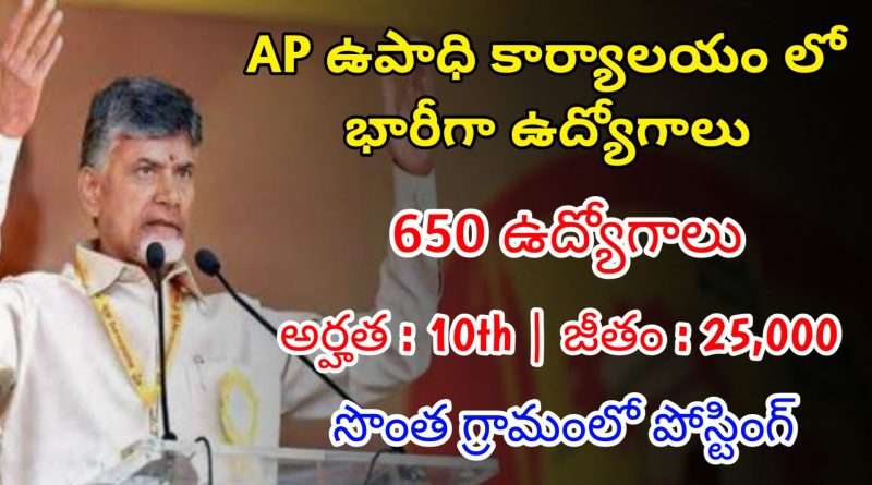 10వ తరగతి తో AP ఉపాధి కార్యాలయం లో 650 ఉద్యోగాలు | AP Govt Jobs | Field Assistant Jobs