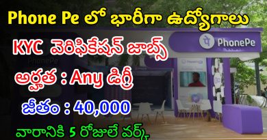 ఫోన్ పే లో భారీగా ఉద్యోగాలు | Latest Phone Pe Recruitment 2024 | Phone Pe Jobs