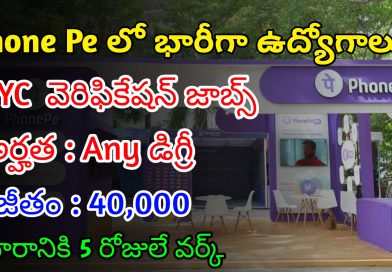 ఫోన్ పే లో భారీగా ఉద్యోగాలు | Latest Phone Pe Recruitment 2024 | Phone Pe Jobs