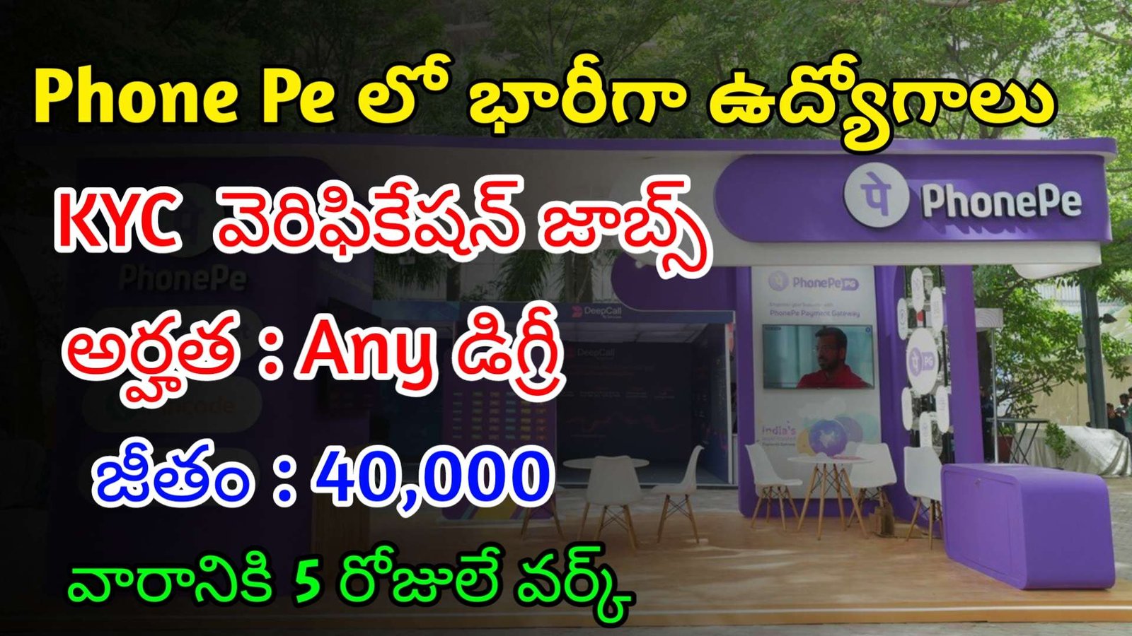 ఫోన్ పే లో భారీగా ఉద్యోగాలు | Latest Phone Pe Recruitment 2024 | Phone Pe Jobs