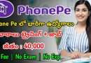 ఫోన్ పే లో భారీగా ఉద్యోగాలు | Latest Phone Pe Recruitment 2025