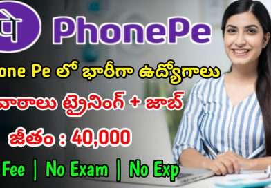 ఫోన్ పే లో భారీగా ఉద్యోగాలు | Latest Phone Pe Recruitment 2025