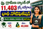 Ibps clerk notification