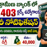 Ibps clerk notification